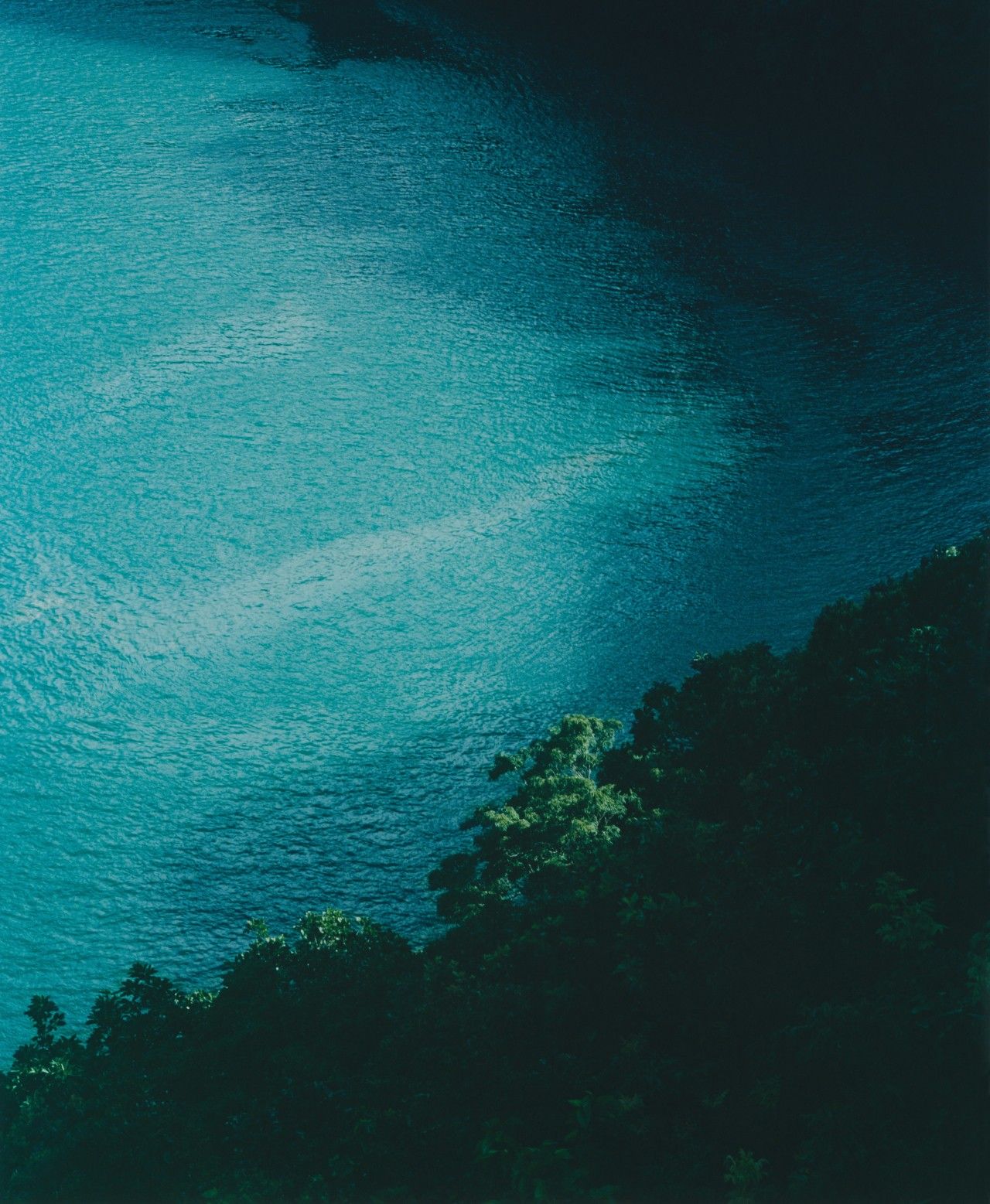 Turquoise water meeting a dark green forested coastline in Okinawa