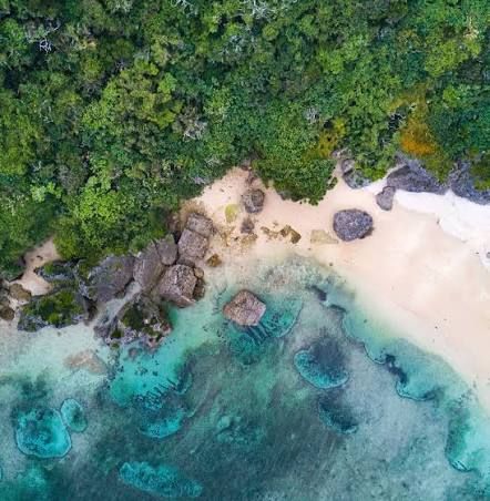 Aerial view of a quiet Okinawan beach, reef and forest